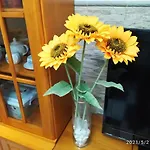 דירה Tres Girasoles קדיז